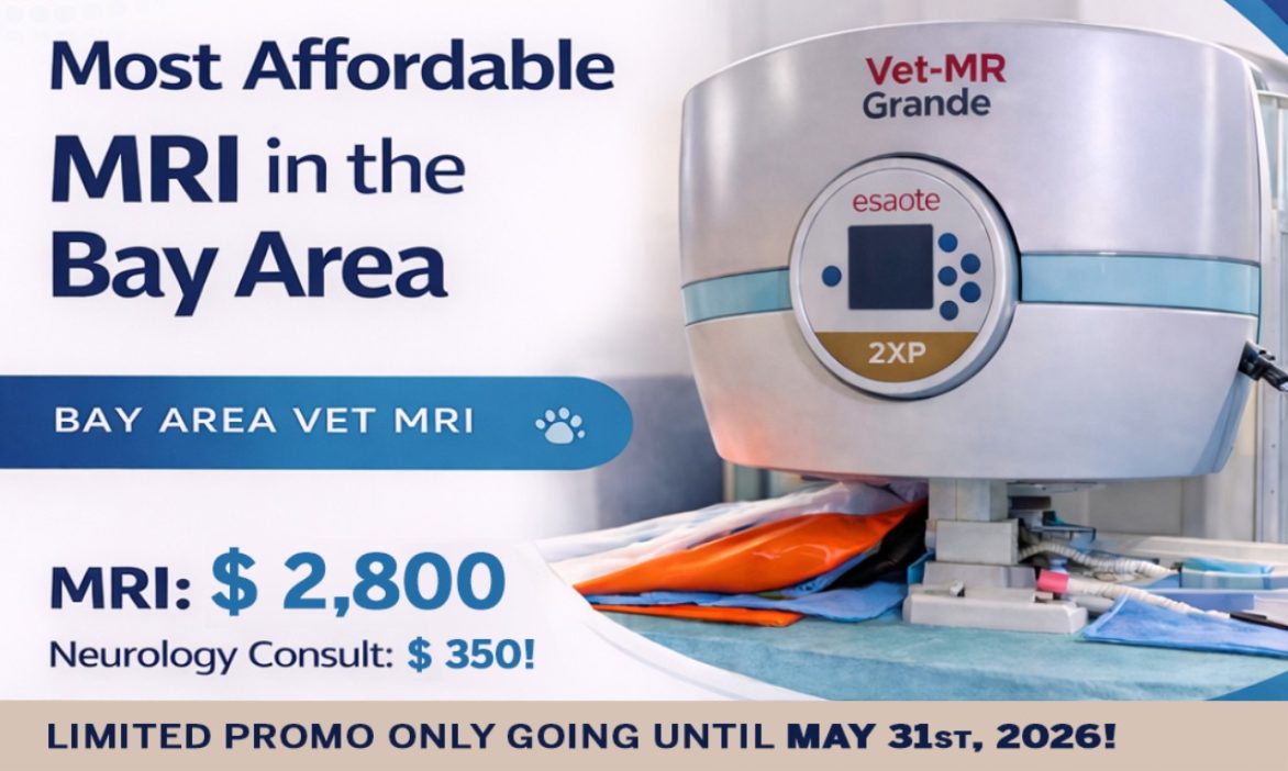 special promo may 2026